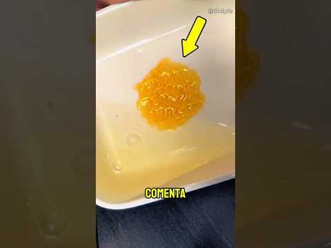 Como Saber se o Mel é Puro! #curiosidades #mel #incrível