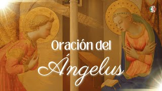 ¡Reza el Ángelus con nosotros! 🙏🔔
