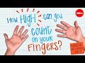 Counting on Fingers: Exploring Different Systems