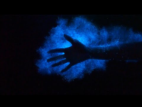 Puerto Rico - The Magic of the Bioluminescent Bay
