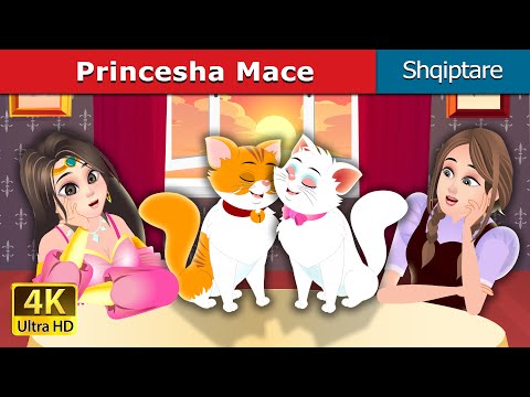 Princesha Mace | The Cat Princess Story in Albanian | Perralla Ship | @AlbanianFairyTales