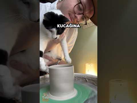 Bu Kedi Çömlek Ustası Oldu 😻