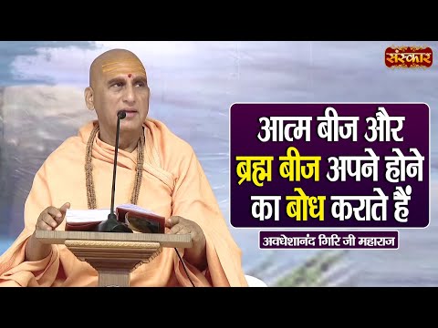 आत्म बीज और ब्रह्म बीज अपने होने का बोध कराते हैं | Swami Avdheshanand Giri Ji Maharaj Ke Pravachan