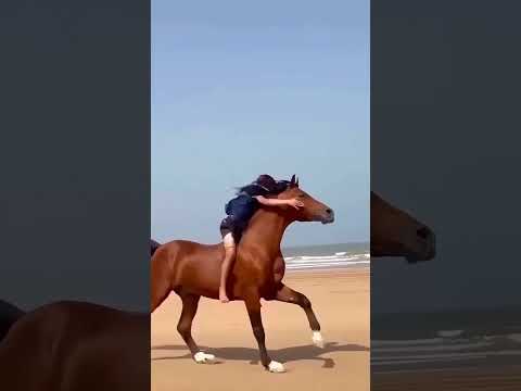 طفل صغير عربي يركب الخيل بطريقة عجيبة؟؟ ✅ 🤔 لن تصدق هذا!!!! #اكسبلور #معلومات_عامة