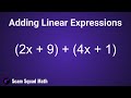 Understanding Algebraic Expressions and Terms