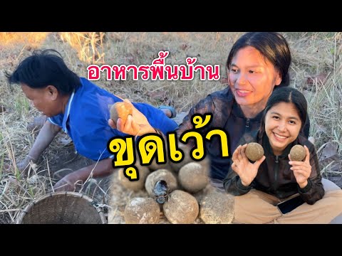 ขุดเบ้าอาหารพื้นบ้านอีสานบ้านเฮา็หากินตามฤดูกาล