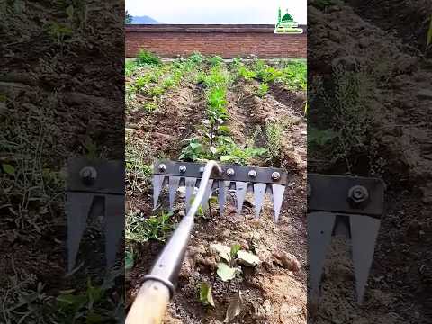 নিড়ানি কোদাল একসাথে জমিতে দুটি কাজ করা যায় 🌱🫑🍆🥒🌿
