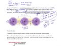 Intermolecular Forces and Their Properties