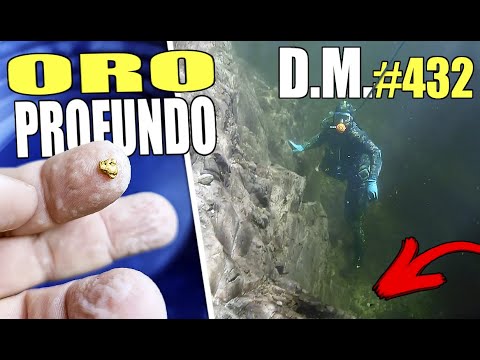 ¿Cuánto ORO hay en esta FOSA? - Detección Metálica 432