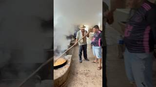 A EQUIPE DA MOAGEM. #tvchicocobradagua #fazenda #vidanaroça #nordeste