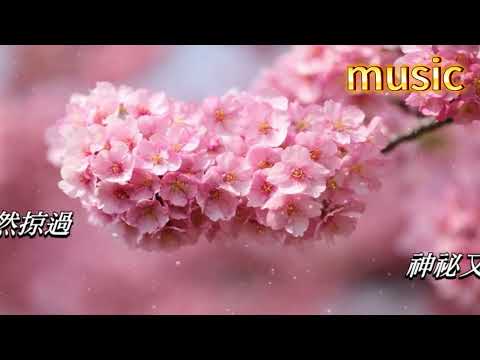 你的眼神 林誌美KTV 伴奏 no vocal 無人聲 music 純音樂 karaoke 卡拉OK 伴唱你的眼神 林誌美