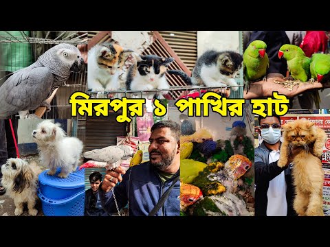 শীতে মিরপুর ১ পাখির হাট_টিয়া পাখি,বিদেশী কুকুর,বিড়াল_Mirpur 1 pakhir Haat 2024