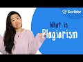 Exploring the Types and Consequences of Plagiarism
