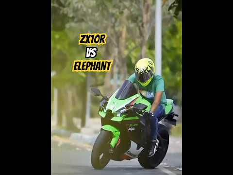 Kawasaki ninja zx10r vs ￼elephant এদের মধ্যে কে বেশি ￼শক্তিশালী ? #￼shorts #elephantvszx10r