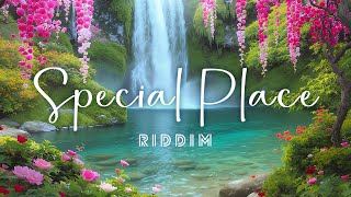 Special Place Riddim | Reggae Instrumental Beat 2025
