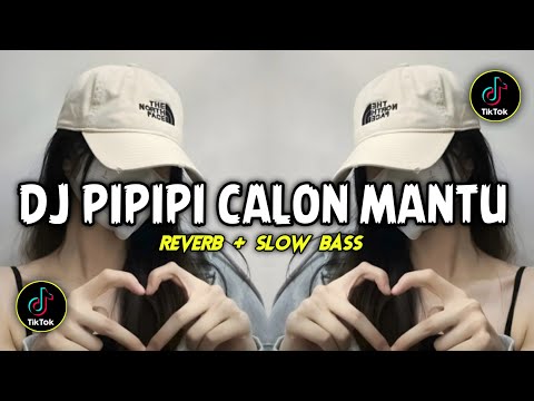 DJ PIPIPI CALON MANTU X KADANG DI KADANG FULL BASS || VIRAL TIK TOK TERBARU 2022