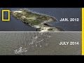 Environmental Impact of the Oil Spill on Kat Island