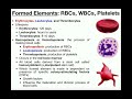 Blood Cell Types and Functions