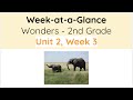 Understanding Vocabulary and Concepts