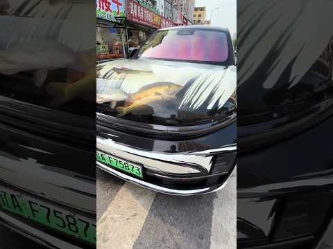 driver turned his car into a fish resort #shortvideo