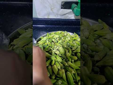 طريقه جديده لتفريز الباميا بدون تعب وتطلع كأنها تازه جربو واحكمو