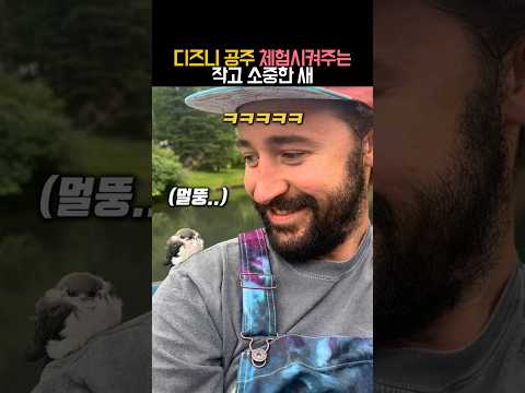 디즈니 공주 체험시켜주는 작고 소중한 새 #유머 #동물