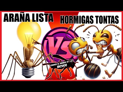 ARAÑA LISTA VS HORMIGAS TONTAS