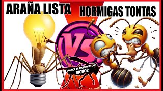ARAÑA LISTA VS HORMIGAS TONTAS