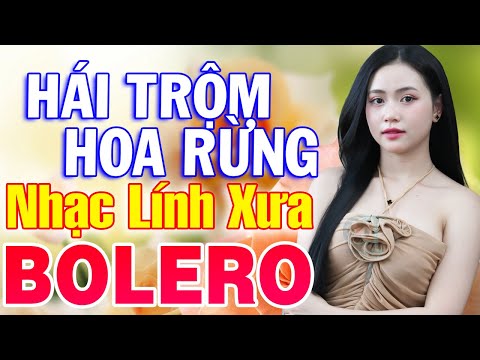 Mùa Xuân Lá Khô, Trăng Tàn Trên Hè Phố - LK Nhạc Lính Mới Còn Mãi Theo Thời Gian