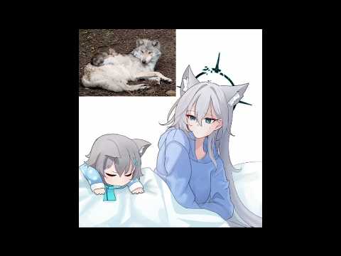 Wolf Family || Blue Archive