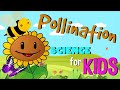 Pollination and Its Importance