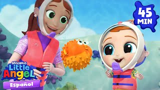 Canción del océano con mi familia 🌊 Canciones Infantiles 🎵 Little Angel Español