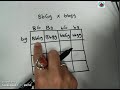 Drosophila Genetics and Phenotypes