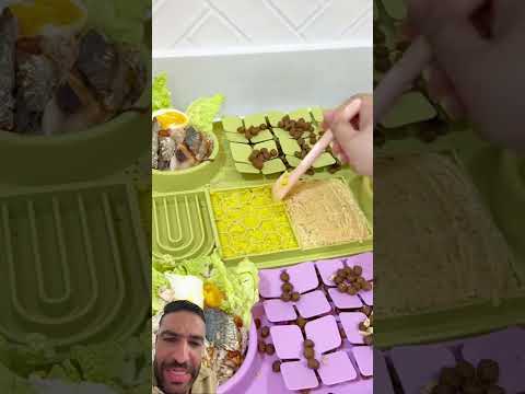 عيشة الكلاب
