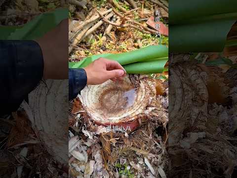 Orang china emang beda #shortvideo