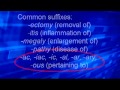 Exploring Medical Terminology: Roots, Prefixes, and Suffixes