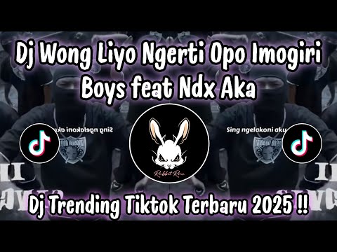 DJ WONG LIYO NGERTI OPO NDX AKA ft IMOGIRI BOYS - DJ TIKTOK TERBARU 2025