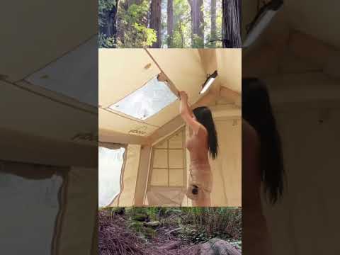 Camping in rain #tent #bushcraft #shelter #building #primitive #camping #diy #design #viral #tents