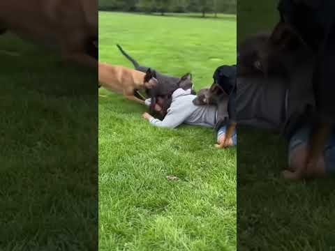 omg witch still endvideo  #shortsfeed #trending #trendingshorts #viral #ytshorts #shorts #viralvideo