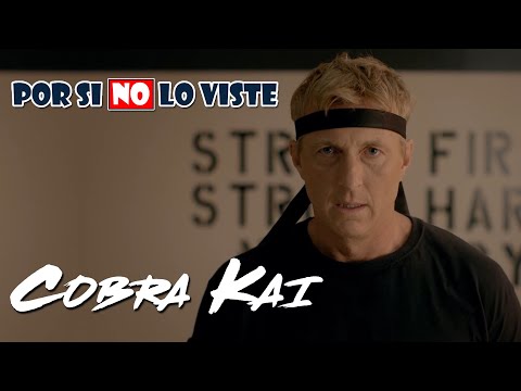 Por si no lo viste: Cobra Kai (Temporada 1 y 2)