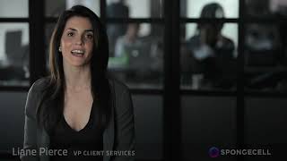 Liane Pierce Spongecell