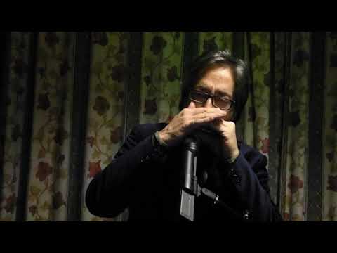 Grillo Cantante Show