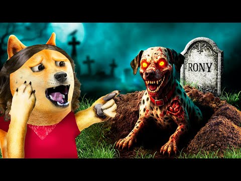 ¡Mi perro MUERT0 REVIVIÓ! 🐶💀➡️🐾