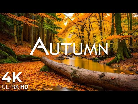 Enchanting Autumn Forests with Beautiful Piano Music&#127809;4K Autumn Ambience &amp; Fall Foliage