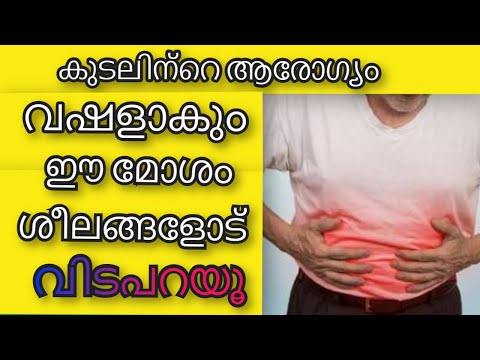 കുടലിന്റെ ആരോഗ്യത്തിനു ഈ ശീലങ്ങളോട് വിടപറയൂ | Health Tips Malayalam |  Ayurvedha