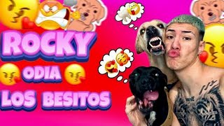 ROCKY ODIA LOS BESITOS 💋​😣​😡​// BESITOS RABIOSOS 👹