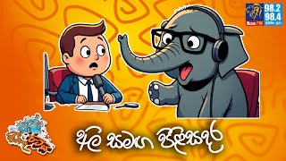 JINTHU PITIYA | @Siyatha FM  06- 08 - 2025 | අලි සමඟ පිළිසදර 🐘 😝