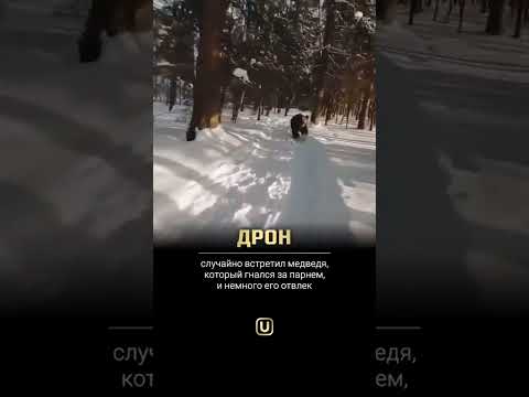 Не дай бог ,на месте мужика оказаться!#хищник#хищники#медведь#snow#медведи#опасность