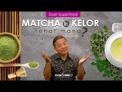 TEH MATCHA vs TEH KELOR, Sehat Mana..??