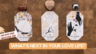 Who You Are Destined To Meet Next? | Timeless Reading
